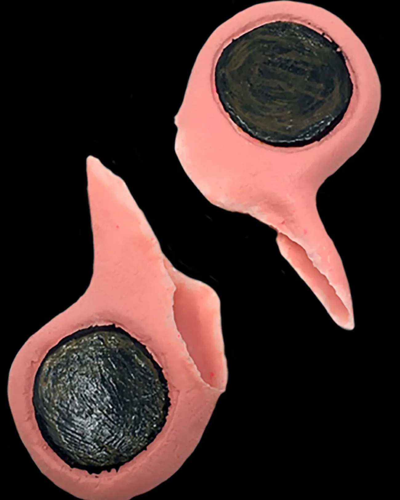 Tinsley Transfers Black Label Gauged Ears> Halloween Accessories