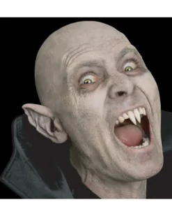 Tinsley Transfers Black Label Vampire Ears></noscript> Halloween Accessories