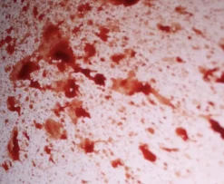 ForensicFX Studios Blood Splatter Spray></noscript> Halloween Accessories