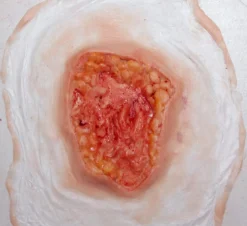 ForensicFX Studios Deep Fatty Tissue Wound Prosthetic></noscript> Halloween Accessories