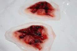 ForensicFX Studios Deep Gauged Out Eye Prosthetic></noscript> Halloween Accessories