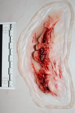 ForensicFX Studios Deep Neck Wound Prosthetic></noscript> Halloween Accessories