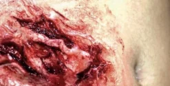 ForensicFX Studios Deep Opened Mangled Wounds Prosthetic></noscript> Halloween Accessories