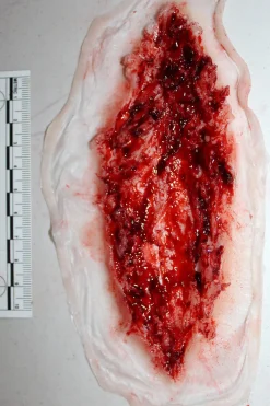 ForensicFX Studios Deep Slashed Trauma Wound Prosthetic></noscript> Halloween Accessories