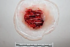 ForensicFX Studios Exposed Hand Ligaments Prosthetic></noscript> Halloween Accessories