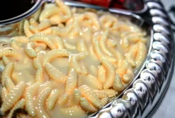 ForensicFX Studios Gorey Halloween Platter Decoration><noscript><img width=