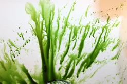ForensicFX Studios Green Zombie Blood></noscript> Halloween Accessories