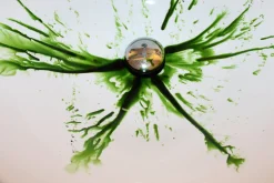 ForensicFX Studios Green Zombie Blood></noscript> Halloween Accessories