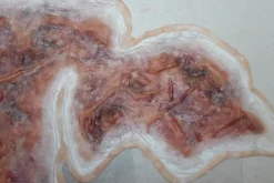 ForensicFX Studios Large Torso Skin Burn Prosthetic></noscript> Halloween Accessories