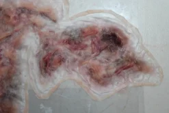 ForensicFX Studios Large Torso Skin Burn Prosthetic></noscript> Halloween Accessories