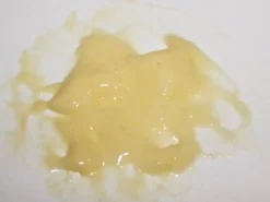 ForensicFX Studios Large Torso Skin Burn Prosthetic></noscript> Halloween Accessories