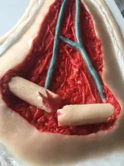 ForensicFX Studios Open Collarbone Wound Prosthetic></noscript> Halloween Accessories