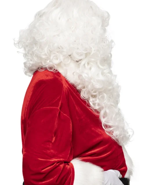 * Santa Professional Wig And Beard Set> Halloween Wigs