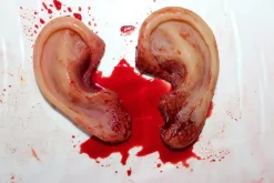 ForensicFX Studios Severed Body Parts Bundle></noscript> Halloween Accessories