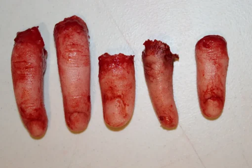 ForensicFX Studios Severed Finger Prop> Halloween Accessories