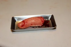 ForensicFX Studios Severed Finger Prop On Medical Metal Tray></noscript> Halloween Accessories