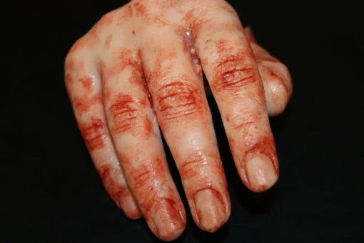 ForensicFX Studios Severed Half-Hand Prop> Halloween Accessories