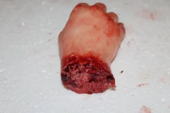 ForensicFX Studios Severed Hand Prop></noscript> Halloween Accessories