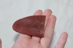 ForensicFX Studios Severed Tongue Prop></noscript> Halloween Accessories