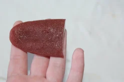 ForensicFX Studios Severed Tongue Prop></noscript> Halloween Accessories