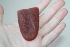 ForensicFX Studios Severed Tongue Prop></noscript> Halloween Accessories