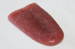 ForensicFX Studios Severed Tongue Prop></noscript> Halloween Accessories