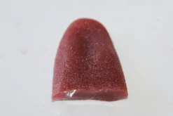 ForensicFX Studios Severed Tongue Prop></noscript> Halloween Accessories