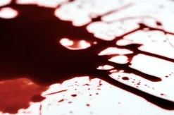 ForensicFX Studios Sfx Blood Bundle></noscript> Halloween Accessories