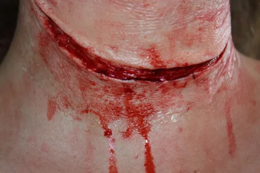 ForensicFX Studios Simple Prosthetics Bundle> Halloween Accessories