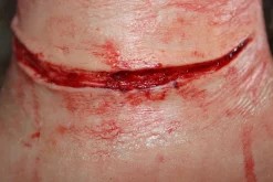 ForensicFX Studios Simple Slit Throat Prosthetic></noscript> Halloween Accessories