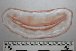 ForensicFX Studios Simple Slit Throat Prosthetic></noscript> Halloween Accessories