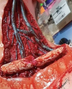 ForensicFX Studios Skinned Alive Prosthetic Bundle></noscript> Halloween Accessories