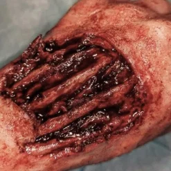 ForensicFX Studios Skinned Alive Prosthetic Bundle></noscript> Halloween Accessories