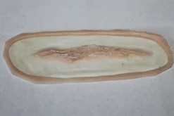 ForensicFX Studios Small Linear Gash Prosthetic></noscript> Halloween Accessories