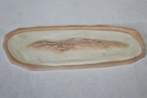 ForensicFX Studios Small Linear Gash Prosthetic> Halloween Accessories