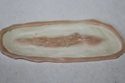 ForensicFX Studios Small Linear Gash Prosthetic></noscript> Halloween Accessories