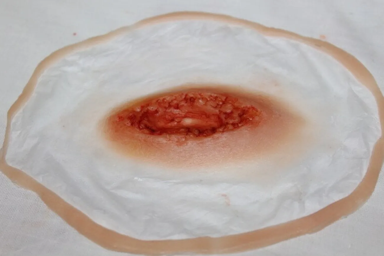 ForensicFX Studios Stab Wound Prosthetic> Halloween Accessories