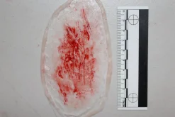 ForensicFX Studios Thin Scrapes Prosthetic></noscript> Halloween Accessories